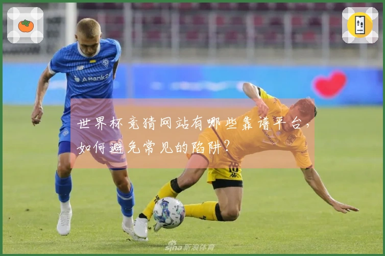世界杯竞猜网站有哪些靠谱平台，如何避免常见的陷阱？