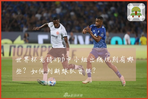 世界杯竞猜app中小组出线规则有哪些？如何判断球队晋级？