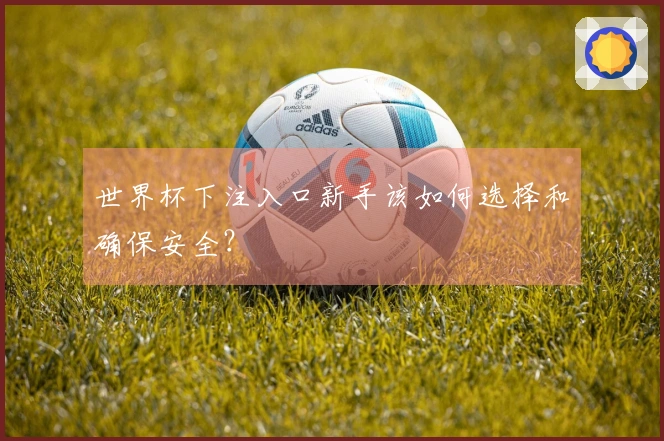 世界杯下注入口新手该如何选择和确保安全？
