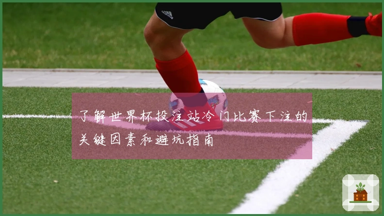 了解世界杯投注站冷门比赛下注的关键因素和避坑指南