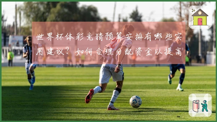 世界杯体彩竞猜预算安排有哪些实用建议？如何合理分配资金以提高乐趣？