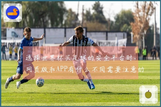 选择世界杯买足球的安全平台时，网页版和APP有什么不同需要注意的？