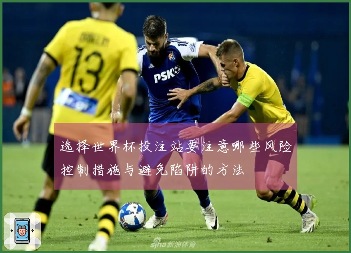 选择世界杯投注站要注意哪些风险控制措施与避免陷阱的方法