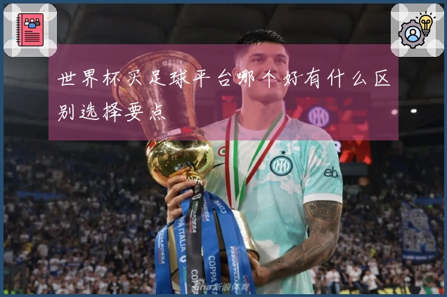 世界杯买足球平台哪个好有什么区别选择要点