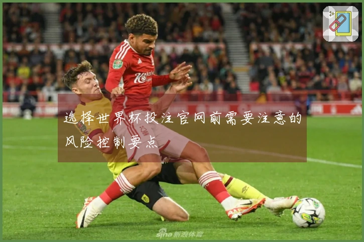 选择世界杯投注官网前需要注意的风险控制要点