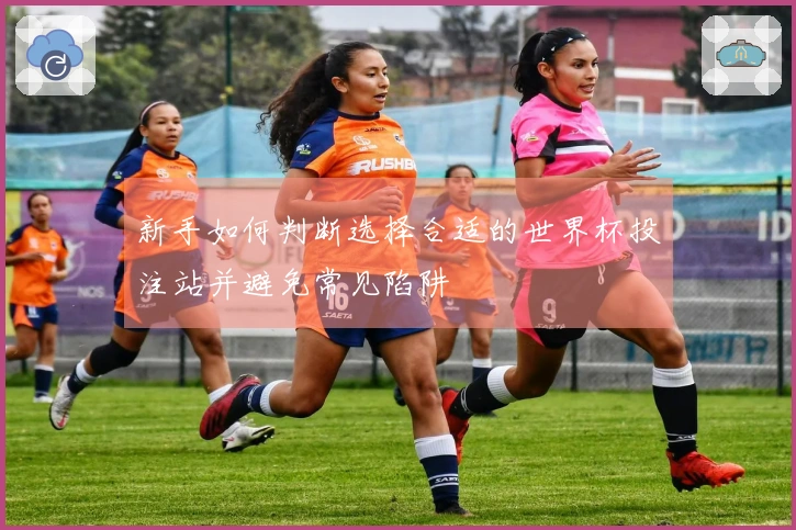 新手如何判断选择合适的世界杯投注站并避免常见陷阱