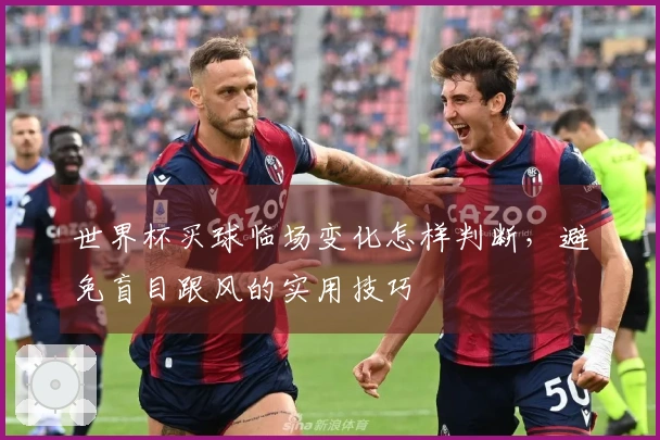 世界杯买球临场变化怎样判断，避免盲目跟风的实用技巧