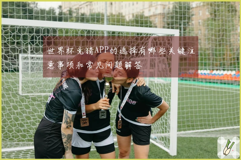 世界杯竞猜APP的选择有哪些关键注意事项和常见问题解答