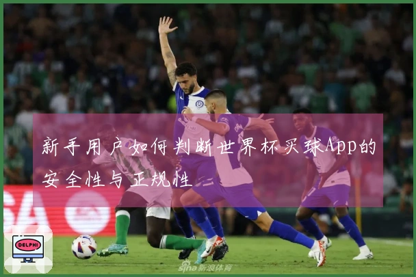 新手用户如何判断世界杯买球App的安全性与正规性