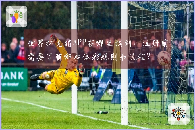 世界杯竞猜APP在哪里找到，注册前需要了解哪些体彩规则和流程？