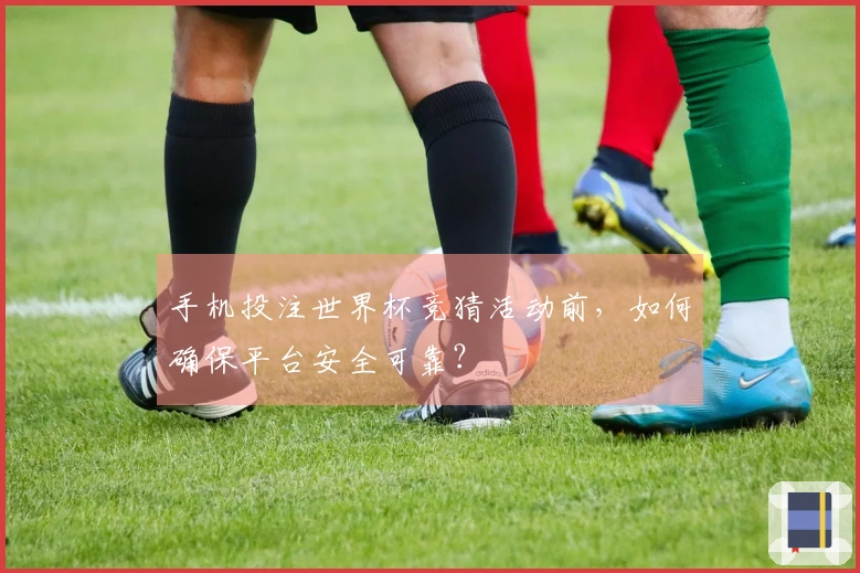 手机投注世界杯竞猜活动前，如何确保平台安全可靠？
