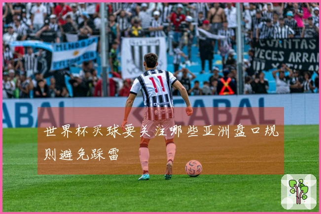 世界杯买球要关注哪些亚洲盘口规则避免踩雷