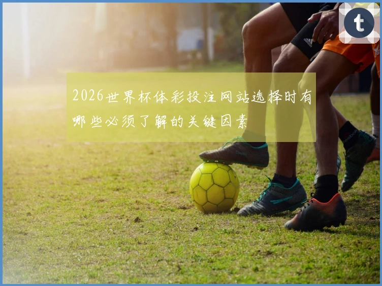 2026世界杯体彩投注网站选择时有哪些必须了解的关键因素