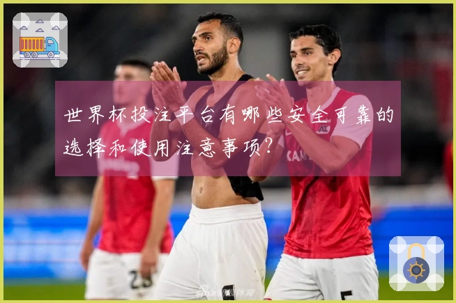 世界杯投注平台有哪些安全可靠的选择和使用注意事项？