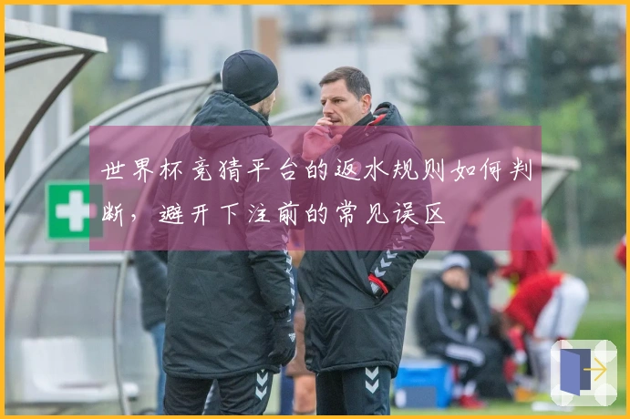世界杯竞猜平台的返水规则如何判断，避开下注前的常见误区