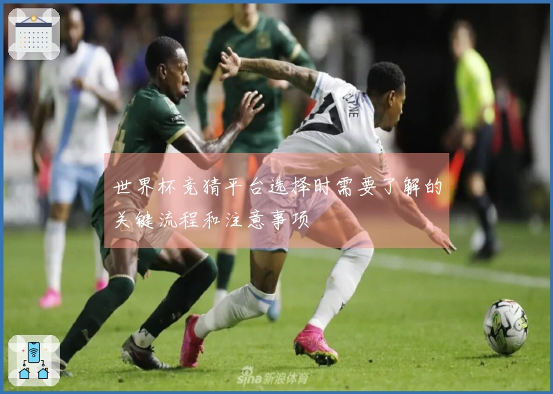 世界杯竞猜平台选择时需要了解的关键流程和注意事项