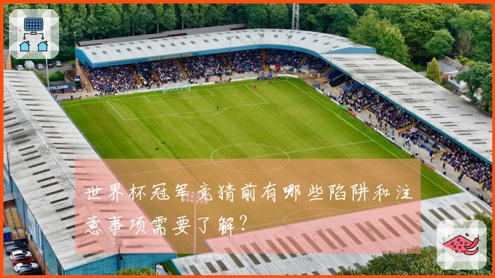 世界杯冠军竞猜前有哪些陷阱和注意事项需要了解？