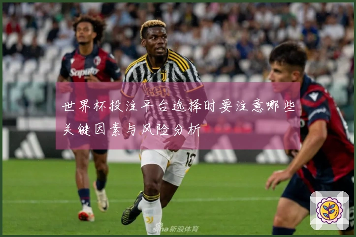 世界杯投注平台选择时要注意哪些关键因素与风险分析
