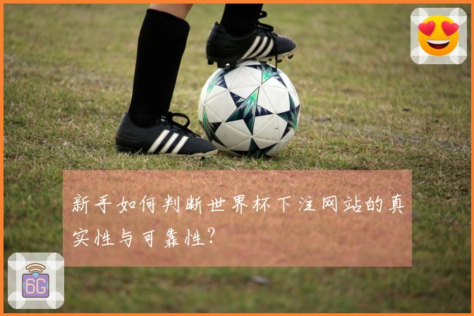 新手如何判断世界杯下注网站的真实性与可靠性？