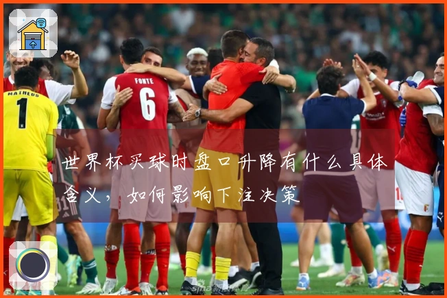 世界杯买球时盘口升降有什么具体含义，如何影响下注决策