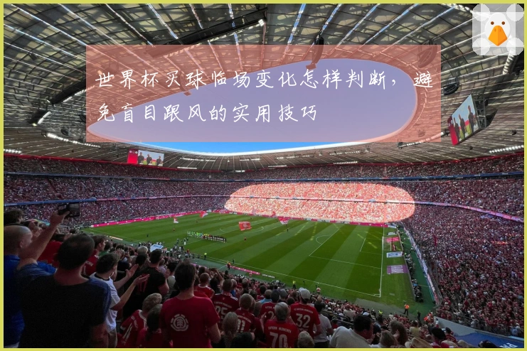 世界杯买球临场变化怎样判断，避免盲目跟风的实用技巧