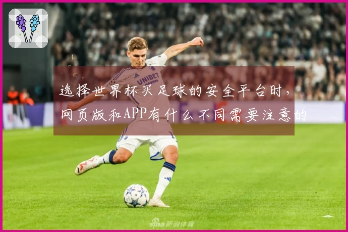选择世界杯买足球的安全平台时，网页版和APP有什么不同需要注意的？