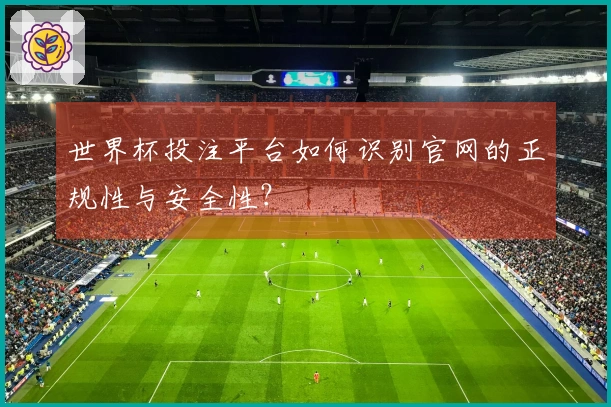 世界杯投注平台如何识别官网的正规性与安全性？