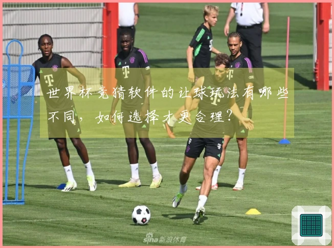 世界杯竞猜软件的让球玩法有哪些不同，如何选择才更合理？