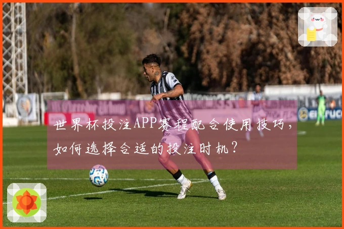 世界杯投注APP赛程配合使用技巧，如何选择合适的投注时机？