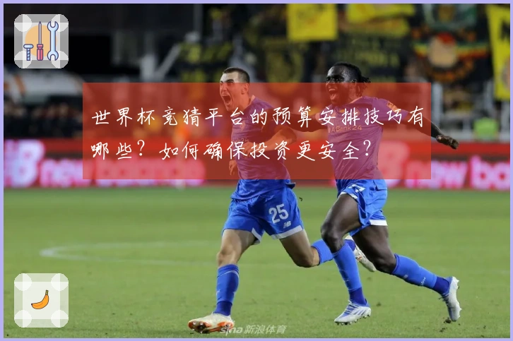 世界杯竞猜平台的预算安排技巧有哪些？如何确保投资更安全？