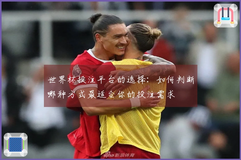 世界杯投注平台的选择：如何判断哪种方式最适合你的投注需求