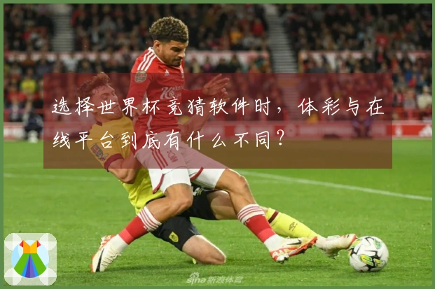 选择世界杯竞猜软件时，体彩与在线平台到底有什么不同？