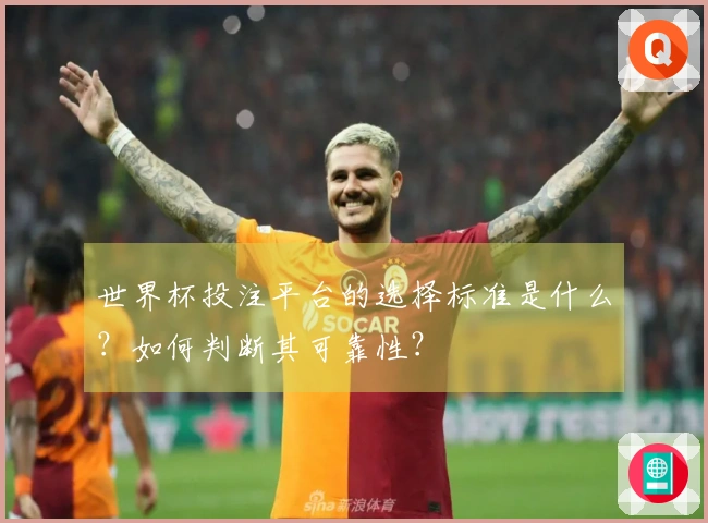 世界杯投注平台的选择标准是什么？如何判断其可靠性？