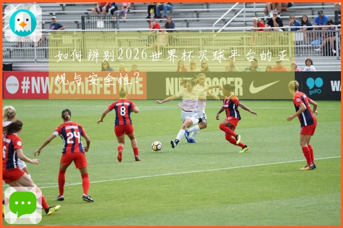 如何辨别2026世界杯买球平台的正规与安全性？