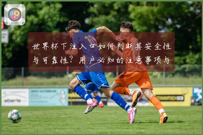 世界杯下注入口如何判断其安全性与可靠性？用户必知的注意事项与流程解析