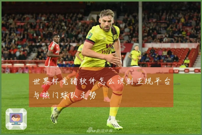 世界杯竞猜软件怎么识别正规平台与热门球队走势