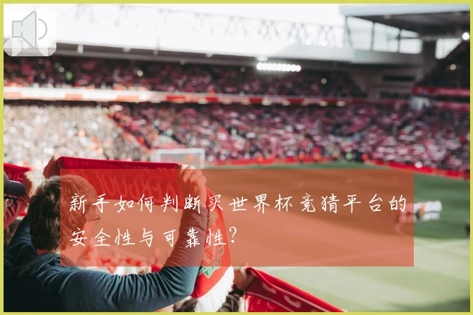 新手如何判断买世界杯竞猜平台的安全性与可靠性？