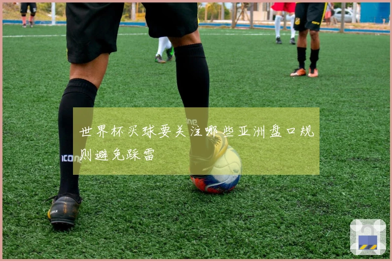 世界杯买球要关注哪些亚洲盘口规则避免踩雷