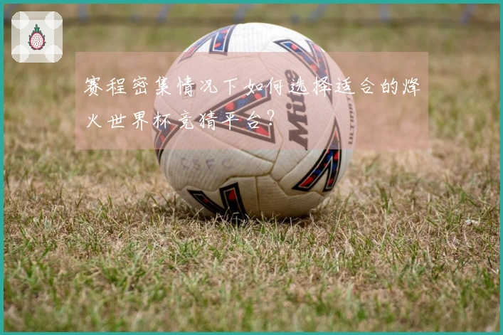 赛程密集情况下如何选择适合的烽火世界杯竞猜平台？
