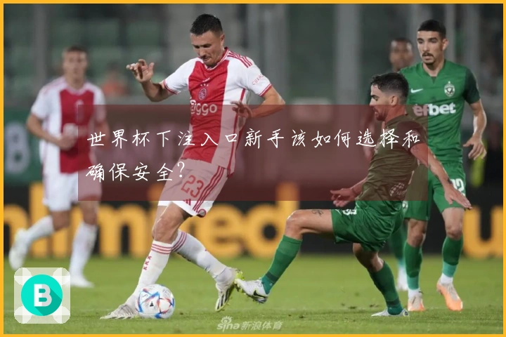 世界杯下注入口新手该如何选择和确保安全？