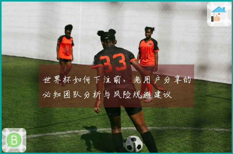 世界杯如何下注前，老用户分享的必知团队分析与风险规避建议