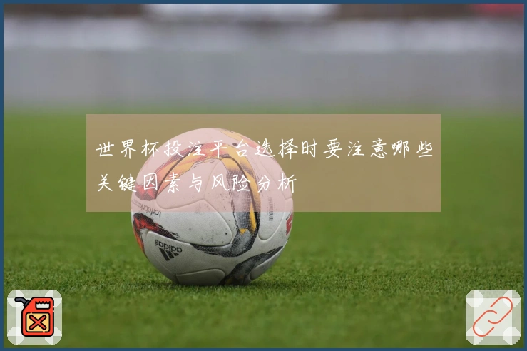 世界杯投注平台选择时要注意哪些关键因素与风险分析