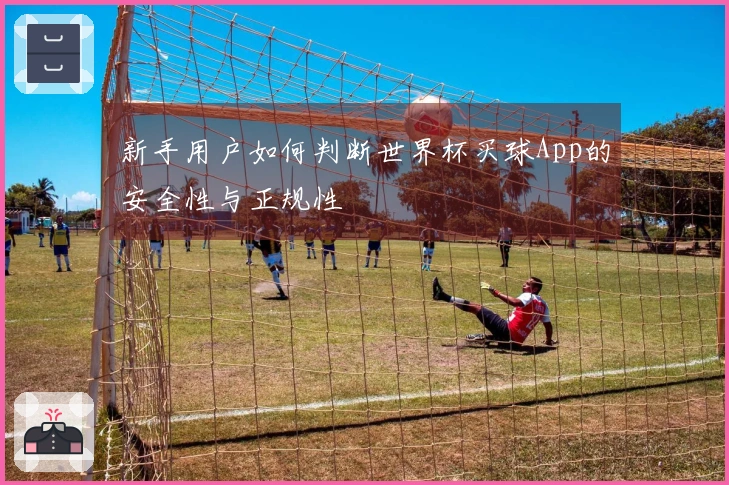 新手用户如何判断世界杯买球App的安全性与正规性