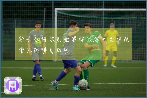 新手如何识别世界杯买球平台中的常见陷阱与风险