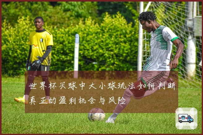 世界杯买球中大小球玩法如何判断真正的盈利机会与风险