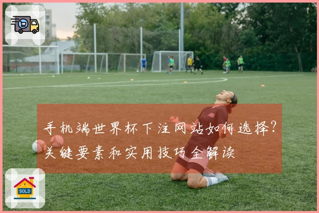 手机端世界杯下注网站如何选择？关键要素和实用技巧全解读