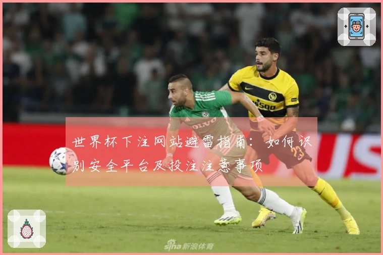 世界杯下注网站避雷指南：如何识别安全平台及投注注意事项
